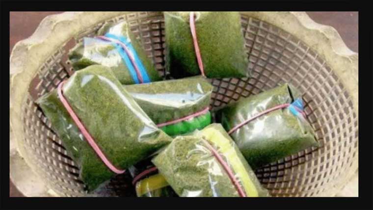 تین سو روپے کی نسوار  چوری کا مقد مہ درج 