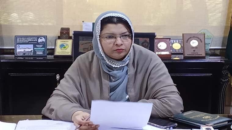 جوہرآباد:جلوسوں کیلئے ٹھنڈے پانی کی سبیلیں،کلینک آن ویلز کا انتظام 