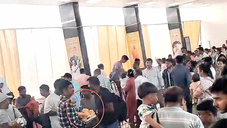 فیسٹیول کے اختتام پر لوگوں کے آم لوٹنے کی ویڈیوز وائرل