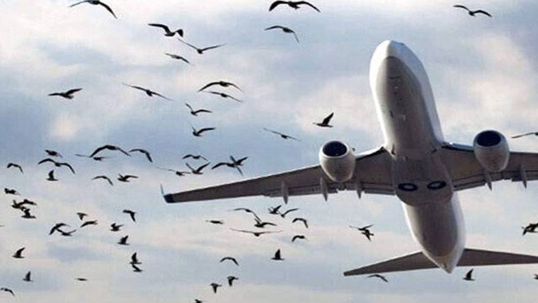 نو برڈ زون:حساس مقامات 30 جولائی تک کلیئر کرنیکی مہلت