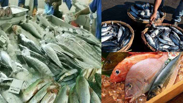 سی فوڈ کی تاریخی برآمدمگر 500ملین ڈالر کا ہدف حاصل نہ ہو سکا