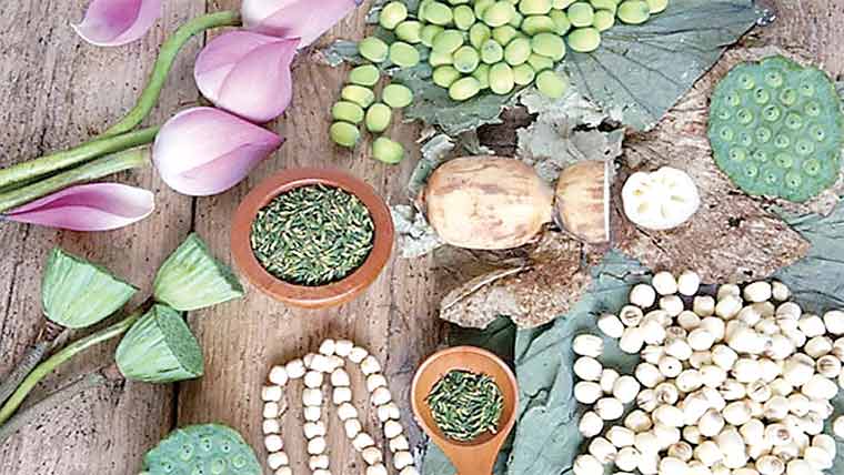 عجائب دنیا:-کنول کے بیج ذہنی دباؤ ،بے چینی میں کمی لاتے ہیں