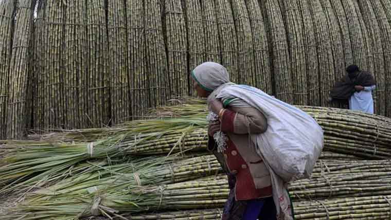 کتنے شوگر مل مالکان حکومت یا سیاست میں ہیں؟قائمہ کمیٹی