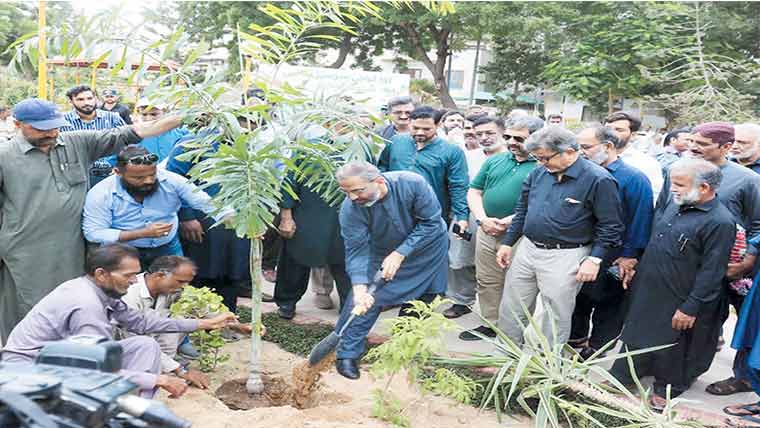جماعت اسلامی نے شجرکاری مہم کا آغاز کردیا