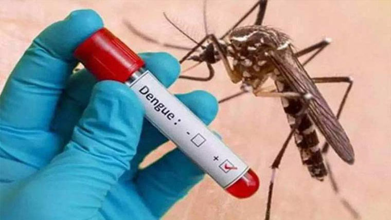   رواں برس ڈینگی کے 3,555  کیس رپورٹ ہوئے ،ہیلتھ اتھارٹی 
