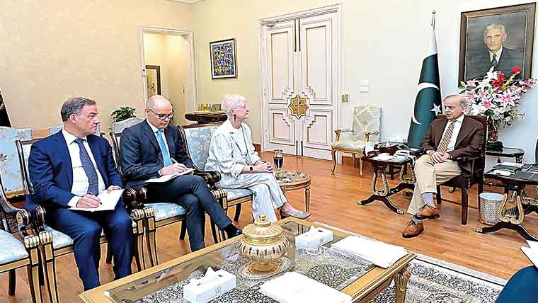 ادارہ جاتی اصلاحات حکومتی ترجیحات میں شامل :شہباز شریف