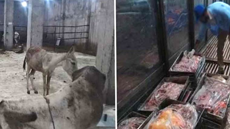 اسلام آباد میں گدھے کا گوشت، سپلائی کی تحقیقات جاری 