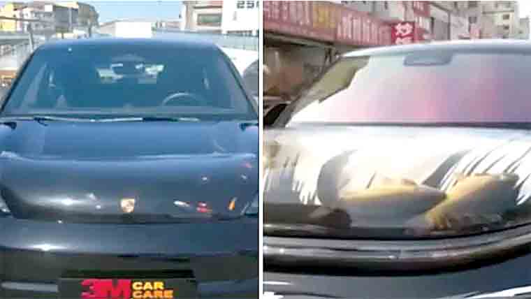 چین:کار کا بونٹ مچھلی گھر میں تبدیل، ویڈیو وائرل