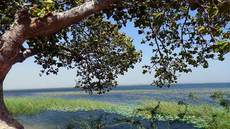 کینجھر جھیل کے اطراف قبضہ،ماہی گیروں کے راستے بند