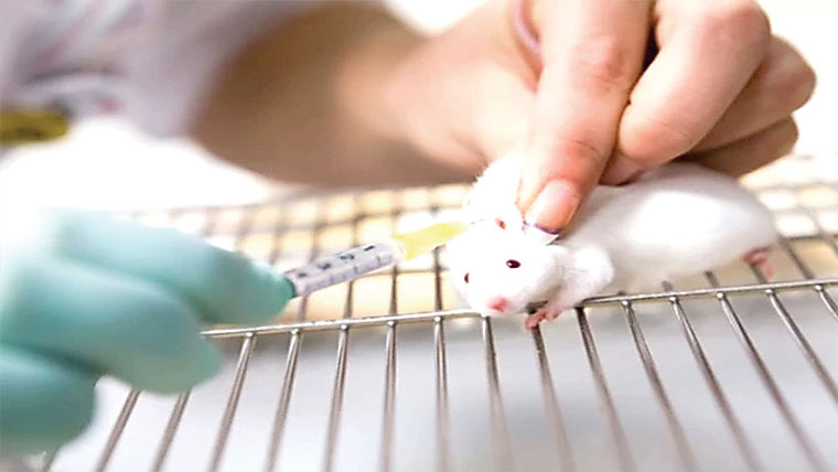  جانوروں میں عمر بڑھانے کا کامیاب تجربہ کرلیاگیا