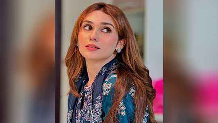 خوبصورتی کا اعتماد ہی  شوبز دنیا میں لایا:حنا طارق