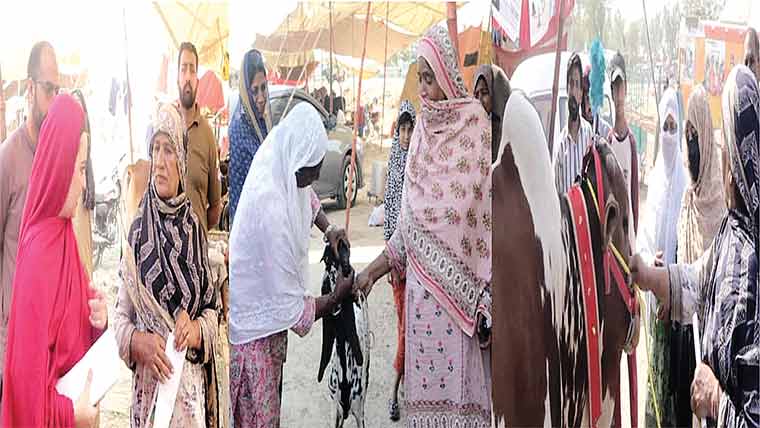 مویشی منڈی خانوآنہ میں خواتین کیلئے 16الگ شیڈز قائم 