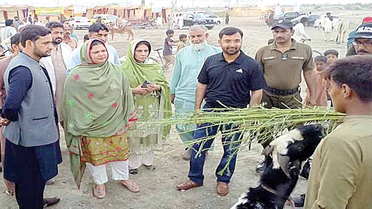 مویشی منڈی میں انتظامات مکمل‘خریداری جاری ‘ڈی سی کا دورہ 