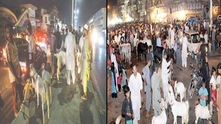  غیر قانونی مویشی منڈیوں کیخلاف کارروائی کا آغاز، 75 افراد گرفتار،  بھاری جرمانے عائد 