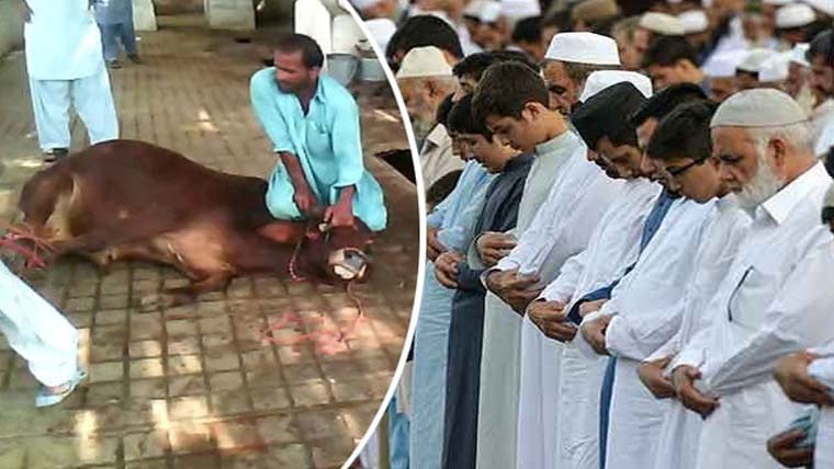 عید الاضحی:کئی ممالک میں اجتماعات،پاکستان میں آج منائی جائیگی