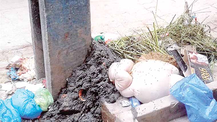 ڈسکہ:گلیوں میں جانوروں کی آ لائشوں ،کوڑے کے ڈھیر 