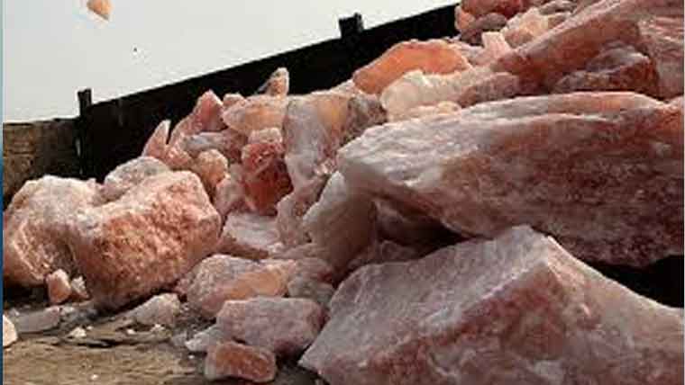 پنک سالٹ عالمی اہمیت کا حامل ویلفیئر پراڈکٹ ، اسد احمد 