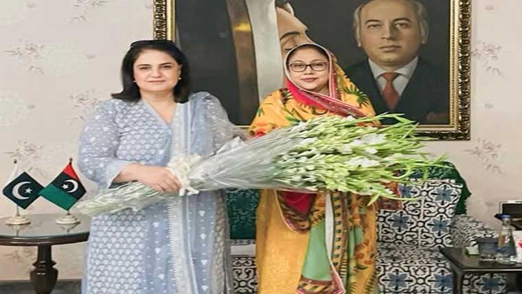 فریال تالپور سے چیئر پرسن بی آئی ایس پی روبینہ خالد کی ملاقات 