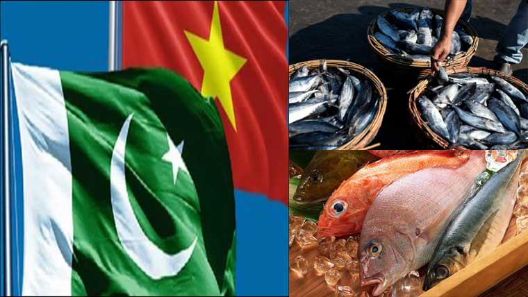 پاک، ویتنام حلال سی فوڈ انڈسٹری میں تعاون بڑھانے پر اتفاق
