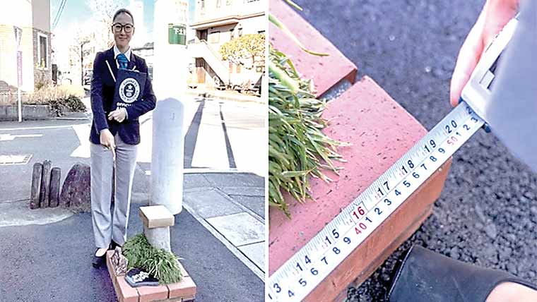 جاپان میں بنایا گیا دنیا کا سب سے چھوٹا پارک