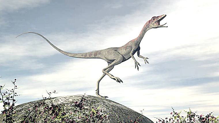 ڈائنونیکس دنیا کا سب سے تیز ترین ڈائناسور قرار
