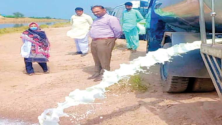 چنیوٹ:ہزار لٹر ملاوٹی اور مضر صحت دودھ برآمد، ضائع کر دیا 