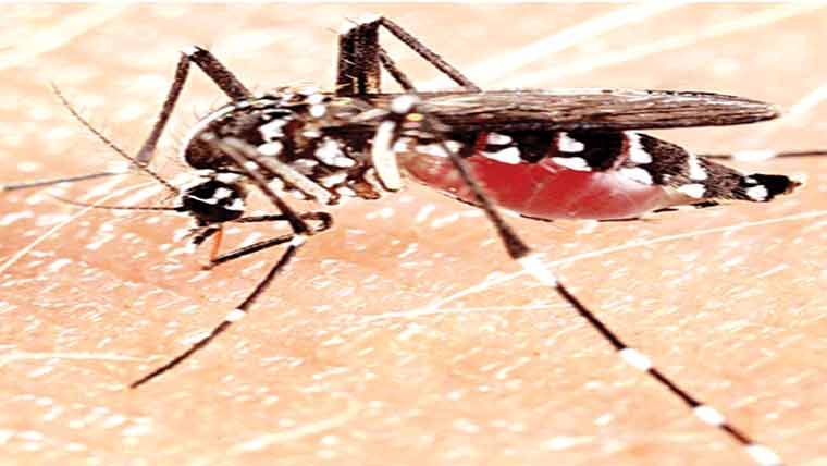 مریض صحت یاب