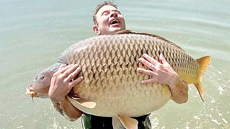 ہنگری:دنیا کی سب سے بڑی کریپ مچھلی پکڑنے کا ریکارڈ