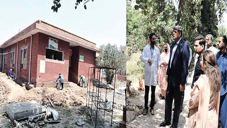 کمشنر کا نواحی چک میں عوامی خدمات کے اداروں کا معائنہ