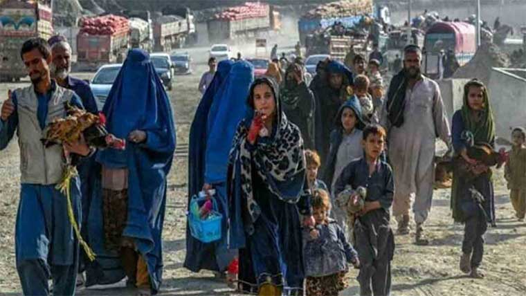 پنجاب بھر سے افغانیوں سمیت  13ہزار 442 غیر قانونی باشندے  ڈی پورٹ ، پولیس ترجمان 