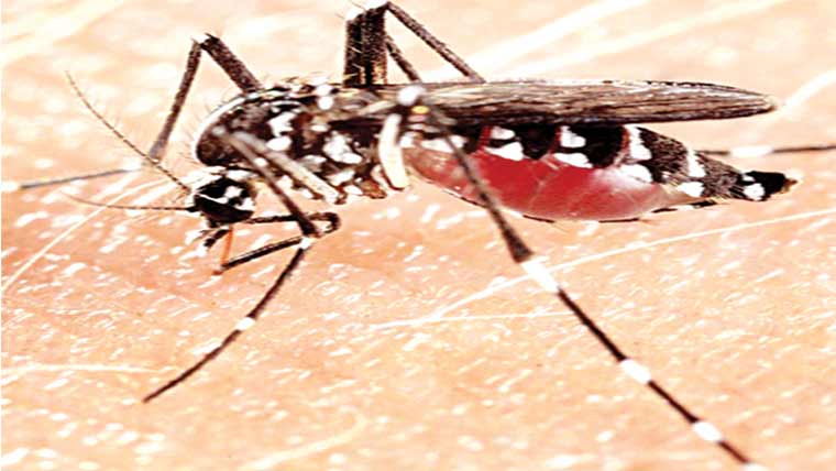 زیر علاج مریض میں تصدیق 