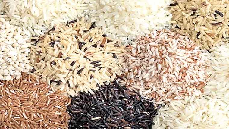 چاولوں میں زہریلی دھاتوں کی موجودگی کا انکشاف