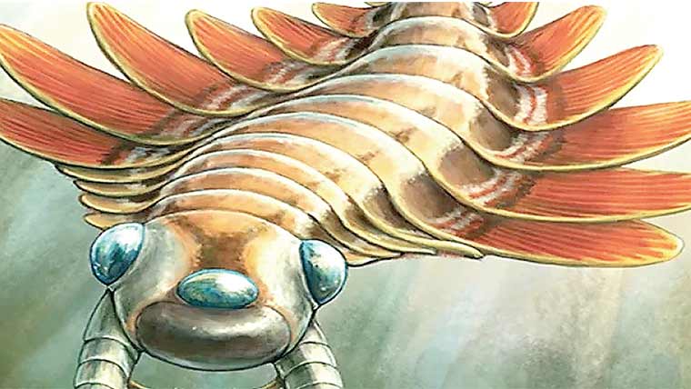 کینیڈا میں3آنکھوں والے جاندار کی باقیات دریافت