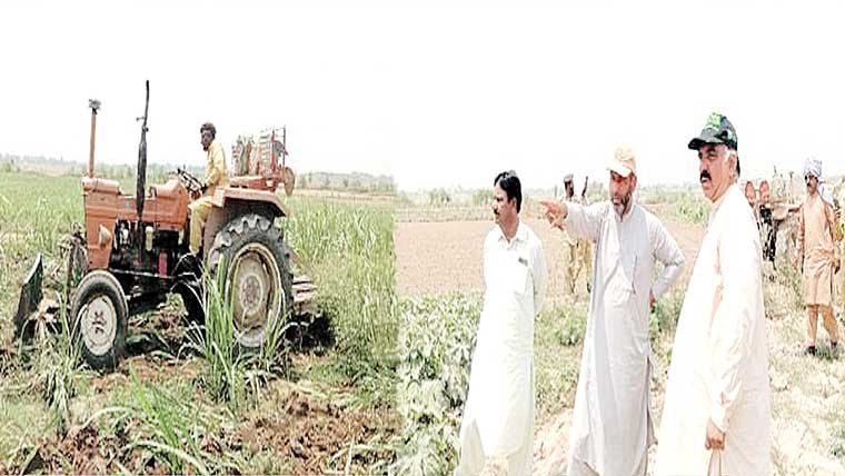  قابضین کیخلاف کارروائی ، محکمہ جنگلات کی 40 ایکڑ اراضی واگزار 