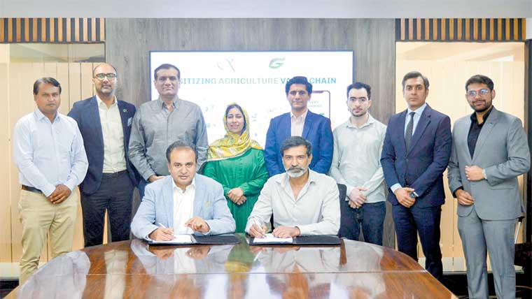 کارانداز اور گروٹیک کے  درمیان شراکت داری قائم