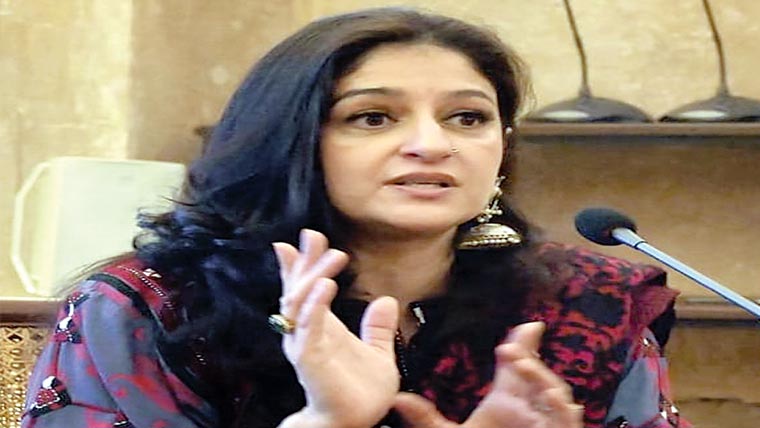 میری چیل جیسی نظر بہو نہیں بیٹے پر ہونی چاہیے :نادیہ جمیل