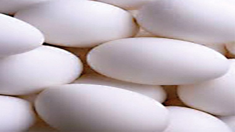 قیمت مستحکم