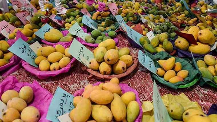 میرپور خاص میں مینگو فیسٹیول کا 4جون سے آغاز