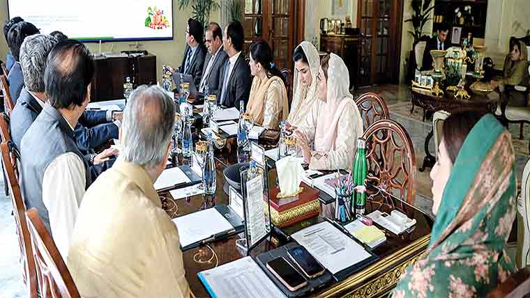 مریم نواز چکن مہنگا ہونے پر برہم، قیمت کنٹرول کرنے کا حکم 