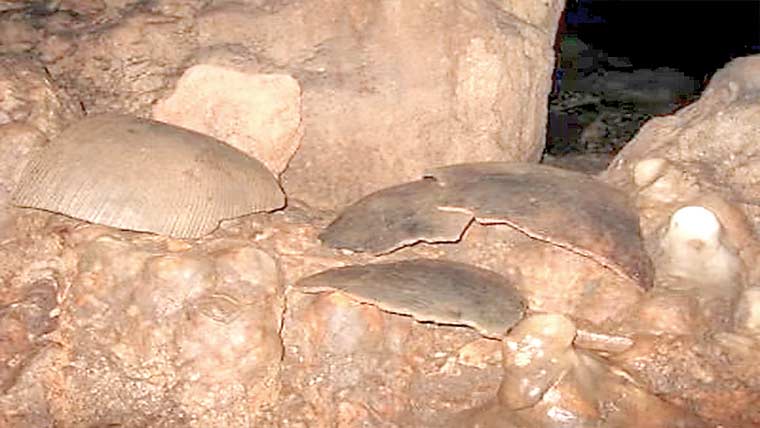  خونی غار سے ملی انسانی ہڈیوں بارے سنسنی خیز انکشاف