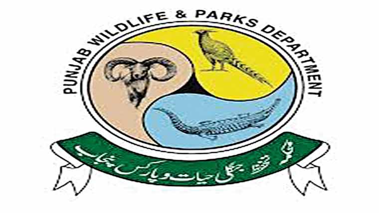 دو شکاری پکڑے گئے 