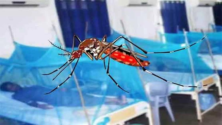 اسلام آباد میں ڈینگی کے مزید 27 مریض سامنے آگئے