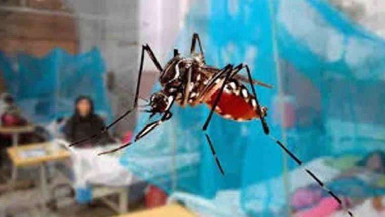 کمی کے دعوؤں کے باوجود ڈینگی کے 21نئے کیسز رپورٹ