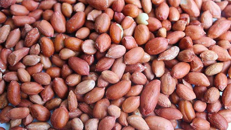 چھلکے والی مونگ پھلی کھانا دماغی افعال،یادداشت کیلئے بہتر 