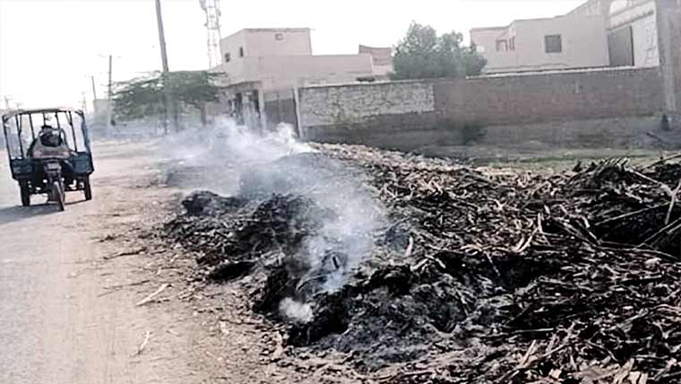 سڑک کنارے کیلے کی باقیات کو آگ لگانا معمول بن گیا