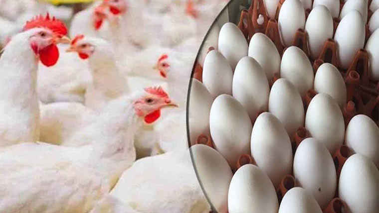  انڈوں اور برائلر گوشت کے ریٹ زیادہ مقرر،صارفین پریشان 