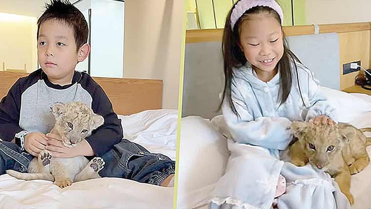 انوکھا ہوٹل جہاں شیر کے بچے صبح مہمانوں کو اٹھاتے ہیں