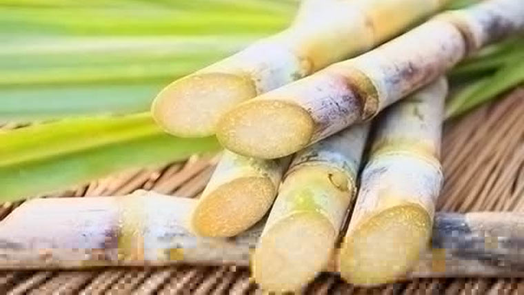  کاشتکار گنے کی فصل فوری شوگرملزمیں لائیں‘میانوالی انتظامیہ