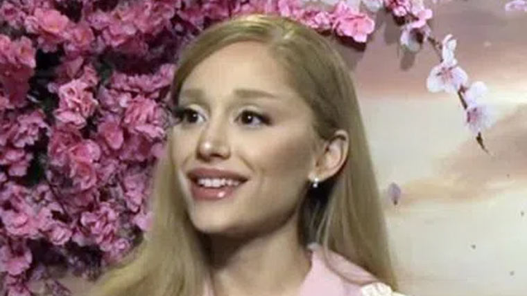 آریانا گرانڈے سے بدسلوکی  کرنے والے شخص کو سزا مل گئی