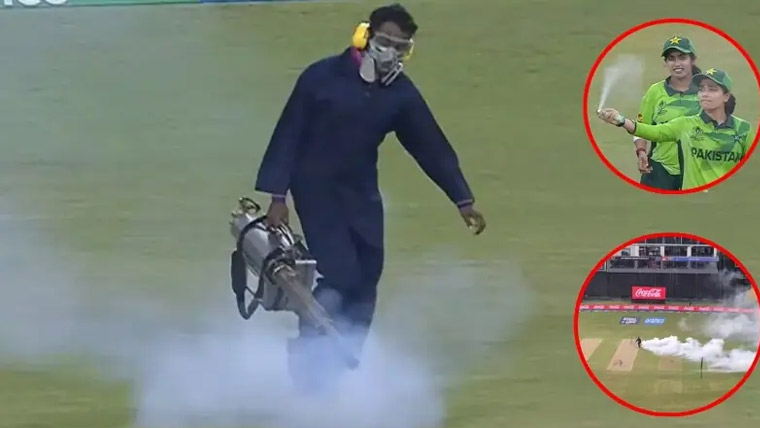 ویمنز ورلڈ کپ،پاک بھارت میچ میں کیڑوں کی بہتات